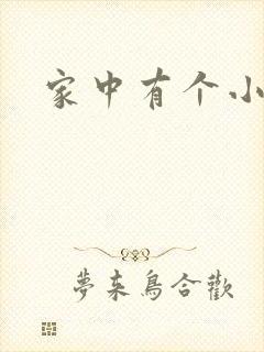 家中有个小姨子