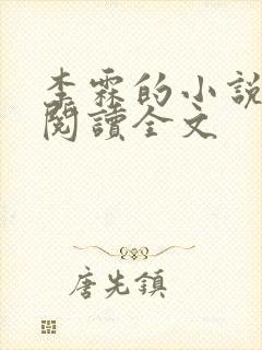 李霖的小说免费阅读全文