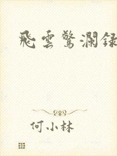 飞云惊澜录