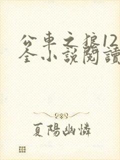 公车之狼12集全小说阅读