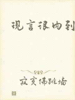 现言很肉到处做