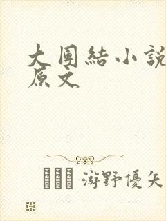 大团结小说阅读原文