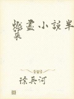 燃尽小说半截白菜