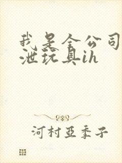 我是全公司的发泄玩具ih