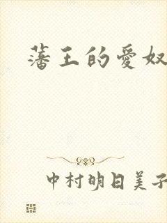 藩王的爱奴