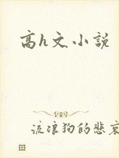 高h文小说