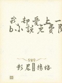 我却爱上一个sb小说免费阅读无弹窗