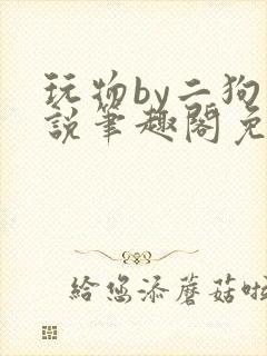 玩物by二狗小说笔趣阁免费阅读