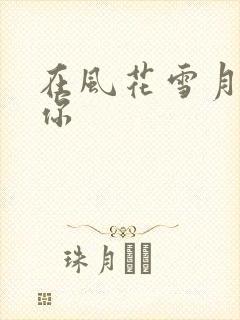 在风花雪月里等你