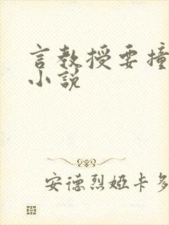 言教授要撞坏了小说