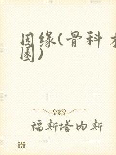 因缘(骨科 校园)