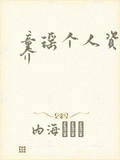 童瑶个人资料简介