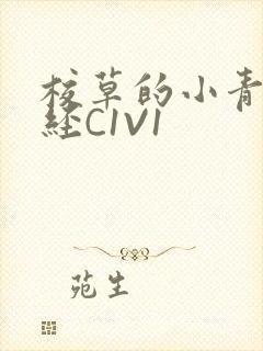 校草的小青梅不经C1V1