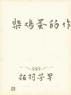 柴鸡蛋的作品