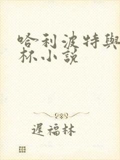 哈利波特与火焰杯小说