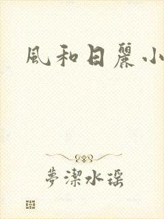 风和日丽小说