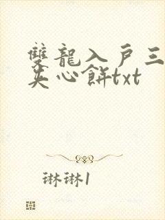 双龙入户三人行夹心饼txt