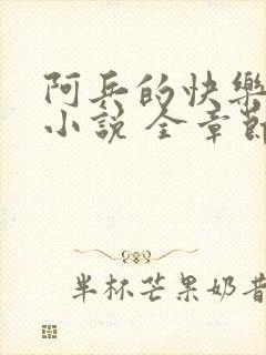 阿兵的快乐生活小说 全章节阅读免费