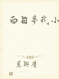 白日梦我小说