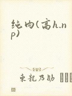 纯肉(高h.np)