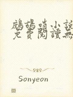 鹧鸪哨小说网站免费阅读无弹窗