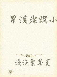 星汉灿烂小说