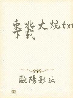 东北大炕txt下载