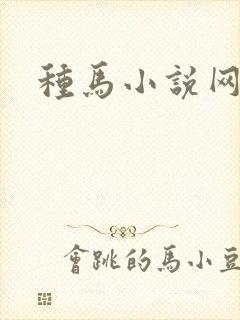 种马小说网