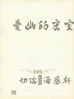 爱幽的密室小说