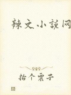 辣文小说网