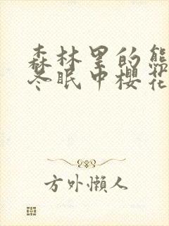 森林里的熊先生冬眠中樱花动漫