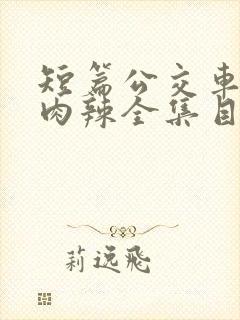 短篇公交车高h肉辣全集目录