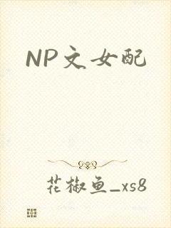 NP文女配