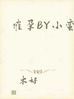 催孕BY小蛮腰