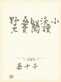 野桑by浅小说免费阅读