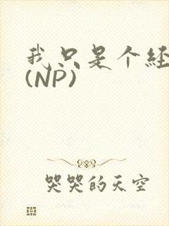 我只是个经纪人(NP)