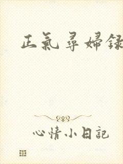 正气寻妇录