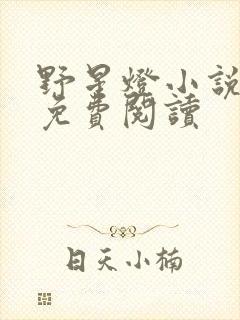 野星灯小说全文免费阅读