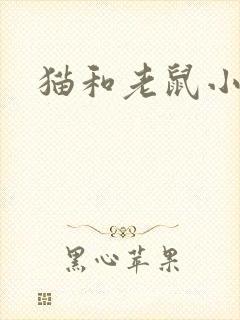 猫和老鼠小说