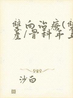 双向治疗(双/产/骨科年上)