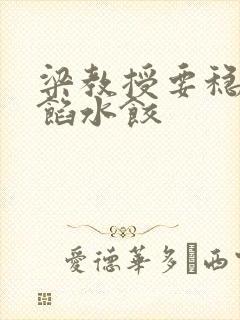 梁教授要稳住肉馅水饺