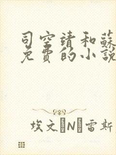 司空靖和苏月汐免费的小说笔趣阁