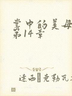掌中的美母版主第14章