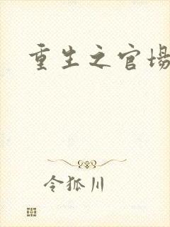 重生之官场风流