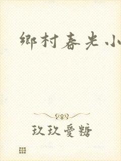 乡村春光小说