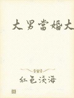 大男当婚大结局