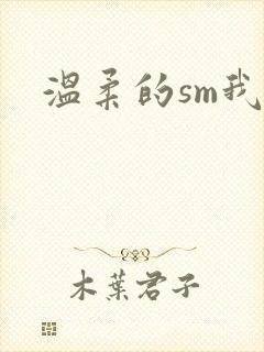 温柔的sm我