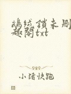 鹅绒锁未删除笔趣阁txt