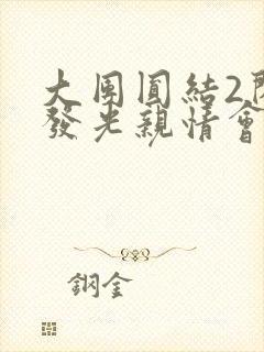 大团圆结2闪闪发光亲情会