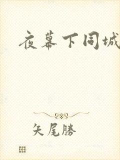 夜幕下同城网